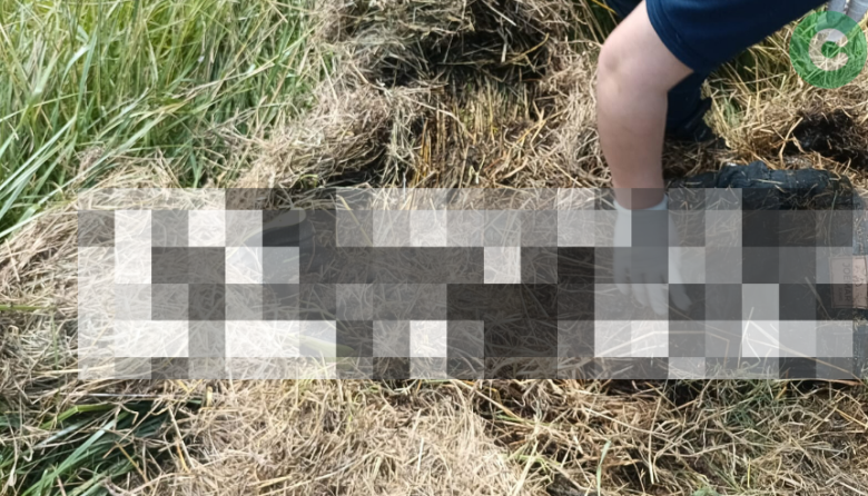 Encuentran un cadaver a un lado de la Ruta 3