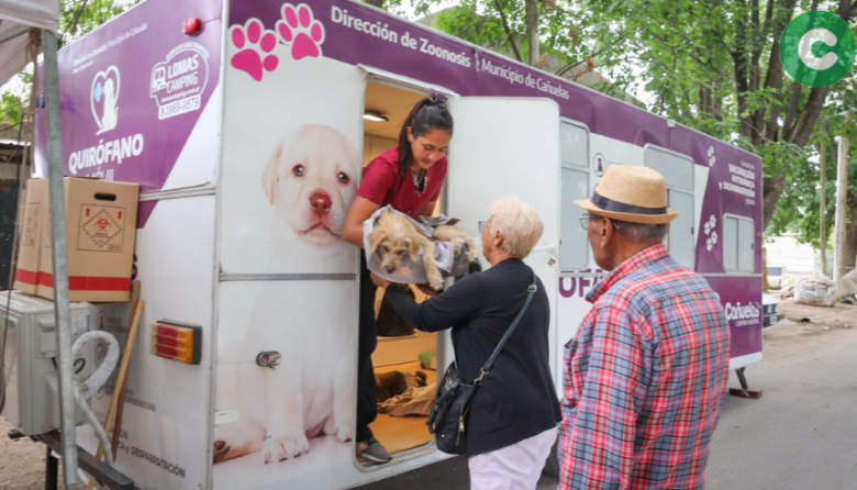 Primera jornada de castración del año
