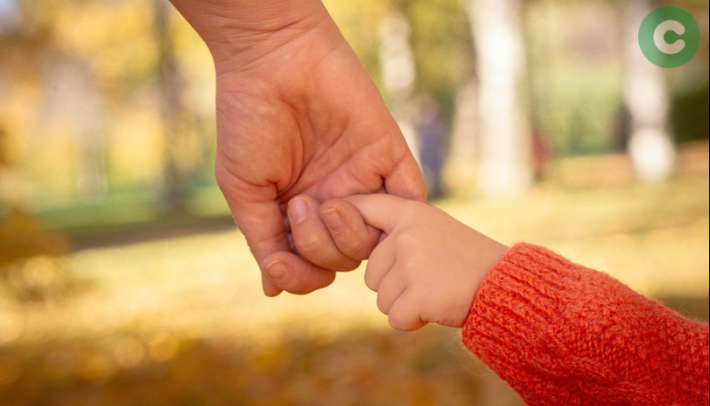 Te mostramos los gastos de la “Canasta de crianza”