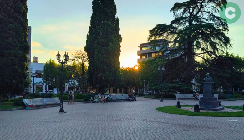 Se adelanta la poda en la Plaza San Martín