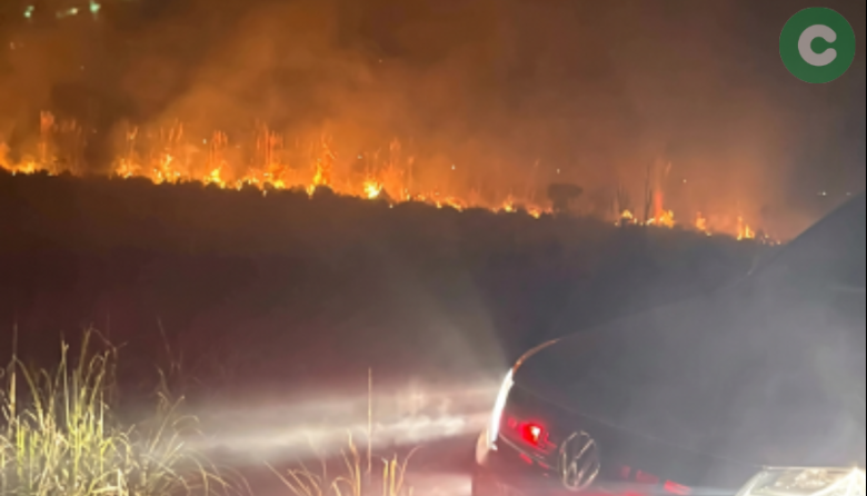 Incendio forestal de gran magnitud
