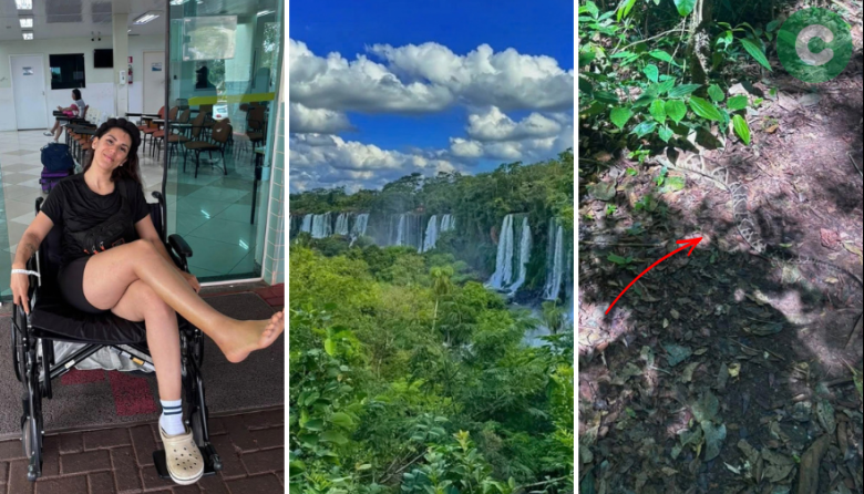 Una mujer de Cañuelas fue mordida por una serpiente en las Cataratas