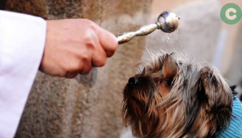 Este domingo habrá bendición de mascotas en la Parroquia de Cañuelas
