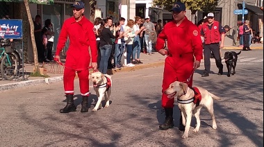 Las futuras perras rescatistas del cuartel de bomberos