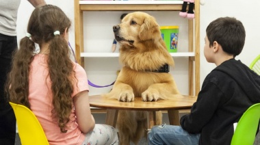 "Titán", el primer perro que acompaña a niños a declarar