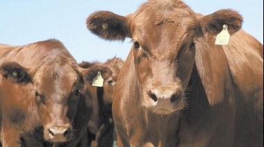 La Sociedad Rural de Cañuelas acompaña la decisión del paro