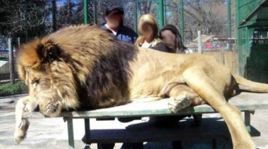 Desde Cañuelas, la Intendenta apoyó la medida de la clausura del Zoológico de Luján