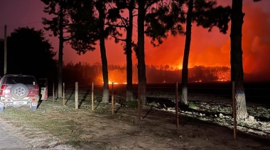 Bomberos de Cañuelas presente en el incendio de los pastizales de Ezeiza