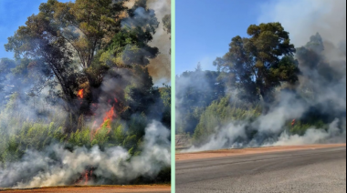 Incendio frente a la YPF puso en alerta a Villa Adriana