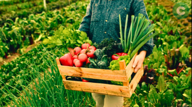 Charla abierta para emprendedores alimenticios