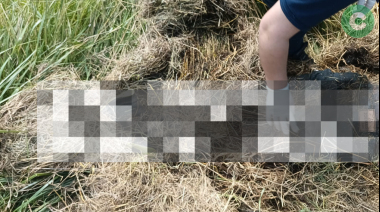 Encuentran un cadaver a un lado de la Ruta 3