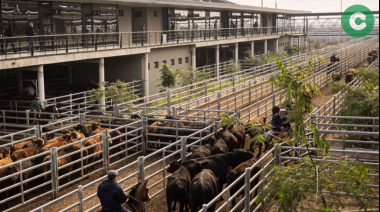 Le otorgan la convalidación definitiva al Mercado Agroganadero de Cañuelas