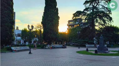 Se adelanta la poda en la Plaza San Martín