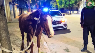 A caballo y en contramano