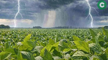 El fenómeno de El Niño y las recomendaciones de la Sociedad Rural de Cañuelas