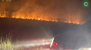 Incendio forestal de gran magnitud