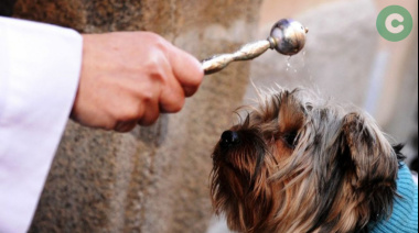 Este domingo habrá bendición de mascotas en la Parroquia de Cañuelas
