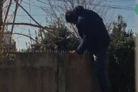 Se encontró al ladrón en el patio