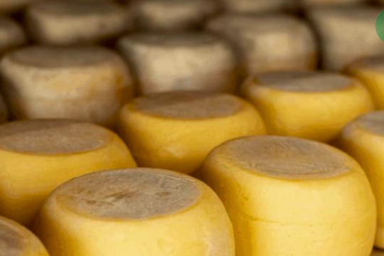 Alerta por brote de listeriosis