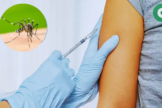 Campaña de vacunación contra el Dengue