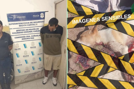 Golpeó a su ex pareja, mató al perro y agredió a una oficial que intentaba detenerlo