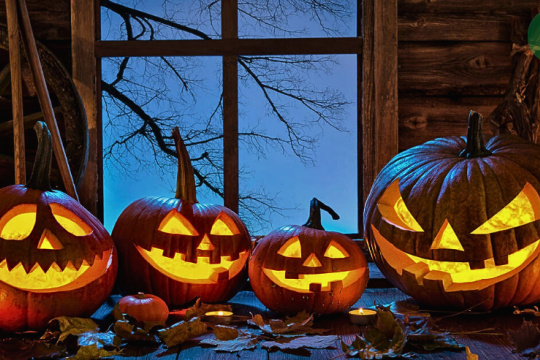 Este viernes se festeja Halloween en la plaza Belgrano