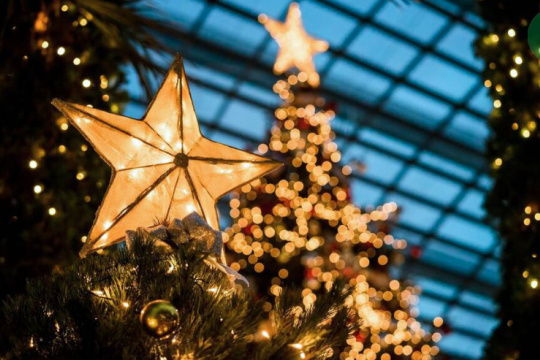 ¡¡¡No falta nada!!!: Llega el Parque de Navidad