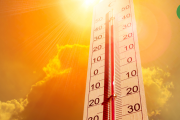 Alerta meteorológica por calor extremo