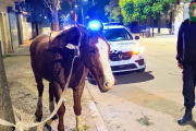 A caballo y en contramano